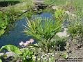 2006-0718pond